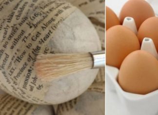 How to Store Fresh Eggs for Extended Periods – No Refrigeration Required