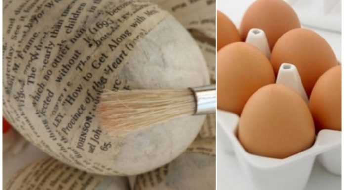 How to Store Fresh Eggs for Extended Periods – No Refrigeration Required