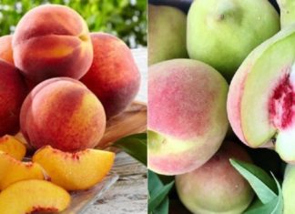 Buy peaches: big or small, sharp or round?
