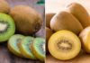 Yellow Kiwi vs Green Kiwi – Which is Better?