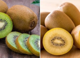 Yellow Kiwi vs Green Kiwi – Which is Better?