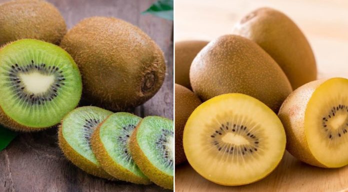 Yellow Kiwi vs Green Kiwi – Which is Better?