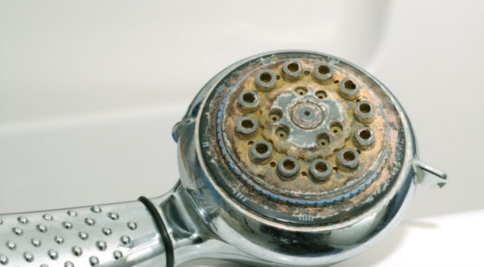 Simple and Cost-effective Ways to Fix a Clogged Showerhead