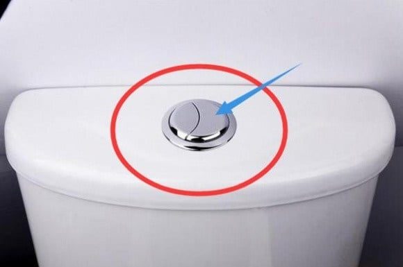 Toilet with Big and Small Buttons: Many Users Waste Millions Without Knowing