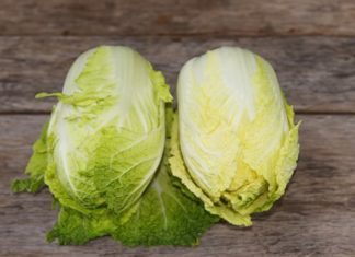 Green Leaves vs Yellow Leaves: The Big Difference, Know Better to Choose Right