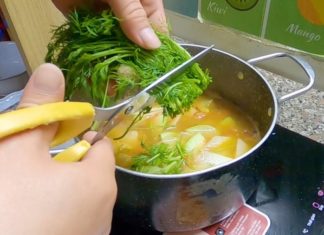 Delicious and Tempting 10 Recipes Using Jicama for a Family Meal