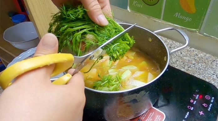 Delicious and Tempting 10 Recipes Using Jicama for a Family Meal