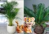 What plants should a person born in the Year of the Tiger grow to enhance their luck and prosperity?