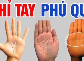 The Path to Abundant Wealth: Who Will Uncover the Secrets to Success?