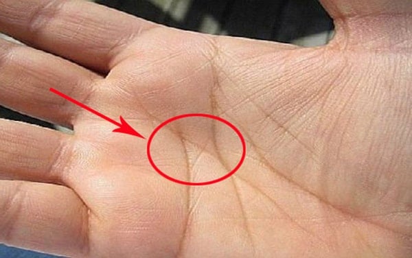 The General’s advice: 5 signs on the palm that the God of Wealth “marks”, leading to future prosperity