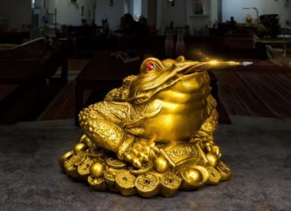 Misunderstanding about the Lucky Toad brings bad luck, the more you worship, the more you lose fortune, money is wasted, assets are damaged