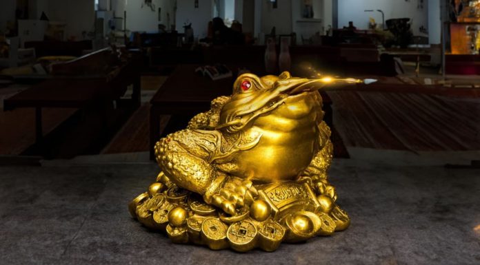 Misunderstanding about the Lucky Toad brings bad luck, the more you worship, the more you lose fortune, money is wasted, assets are damaged