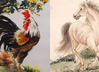 Overnight, Phoenix Soars at Age 4, Thriving and Flourishing with Hands Full of Billions.