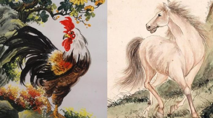 Overnight, Phoenix Soars at Age 4, Thriving and Flourishing with Hands Full of Billions.