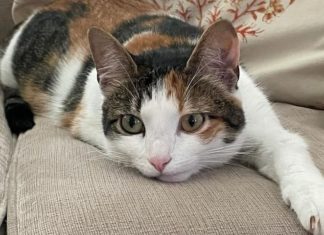 3 Zodiac Signs: Resourceful, Versatile, Turning Bad Luck into Good Luck