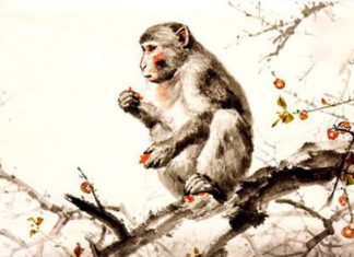 Unceasing Learning: 3 Zodiac Signs with Outstanding Abilities, Constantly Advancing