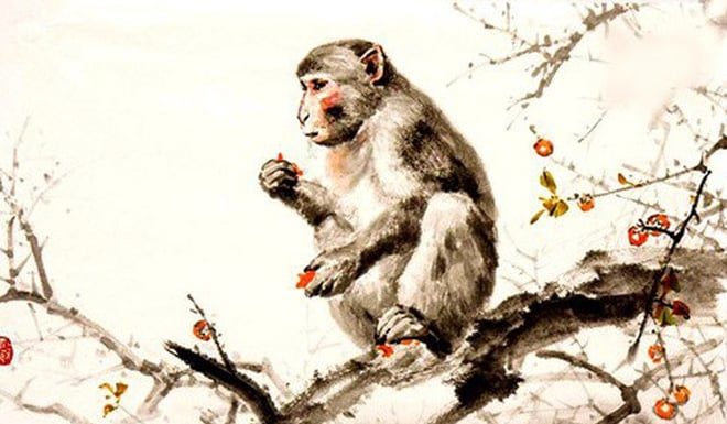 Unceasing Learning: 3 Zodiac Signs with Outstanding Abilities, Constantly Advancing