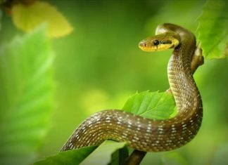 Hardworking and Tireless: 3 Zodiac Signs that will Clear Debts and Attract Abundance in the End of the Year