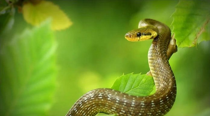 Hardworking and Tireless: 3 Zodiac Signs that will Clear Debts and Attract Abundance in the End of the Year