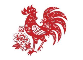 The Weekend’s Magical Adventures: 2-Year-Old Soars with Enchanted Aid, While 1-Year-Old Embarks on a Carefree Journey