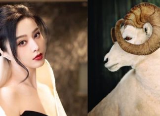 October 2024 Lunar Month: 4 pre-Tet age – Love is as red as lipstick, money flows like a flood.