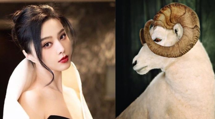 October 2024 Lunar Month: 4 pre-Tet age – Love is as red as lipstick, money flows like a flood.