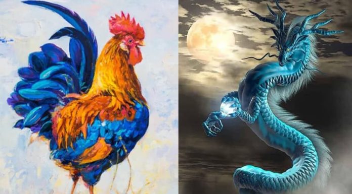 Dreams of Buddha’s Mother: Making a Fortune at Age 4 in late 2023, Building a Beautiful House and Buying a Luxury Car in 2024