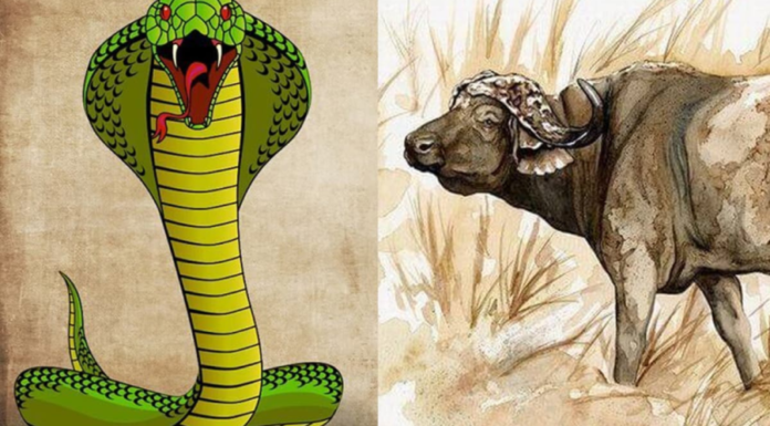 Tomorrow Till Tet 2024: The Young Money-Maker’s Journey to Unimaginable Wealth