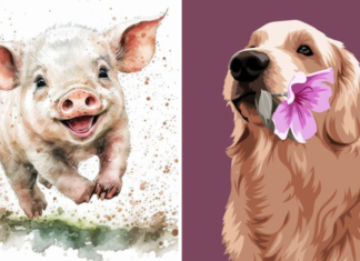 26/11 – 26/12: Manifesting Millions with Ancestral Magic: Effortlessly Attract Abundance and Prosperity.