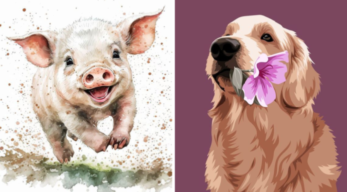 26/11 – 26/12: Manifesting Millions with Ancestral Magic: Effortlessly Attract Abundance and Prosperity.