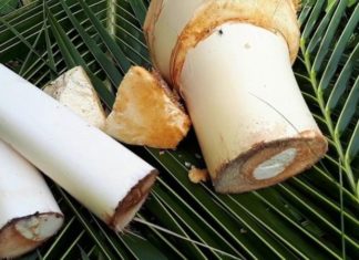 What is coconut yam? How to process coconut yam without it turning black