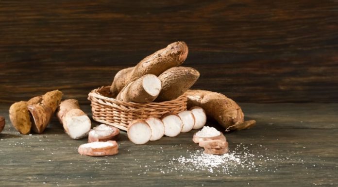 Delicious Taro Recipes: Boiled Taro, Steamed Taro, Taro Sticky Rice – No Risk of Food Poisoning