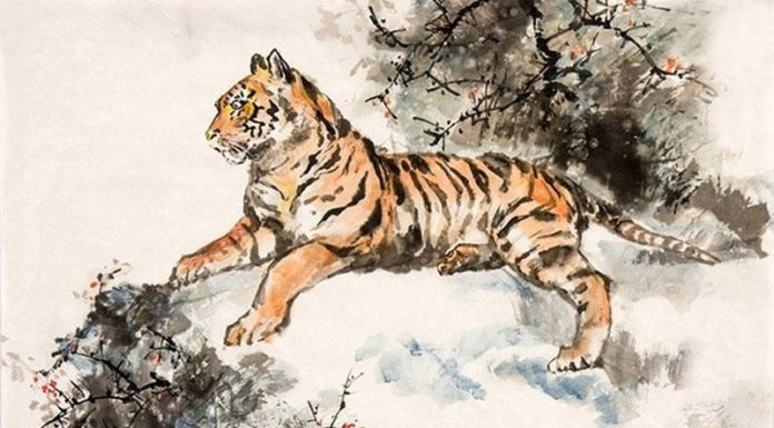 From winter 2023, turning 4 years old comes with abundance, no need to wish but to deserve, money flows into the pocket like rain.