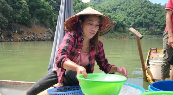 Boneless, Protein-rich, Omega 3-packed Fish: Nature’s Exclusive, Un-Feedable Treasure