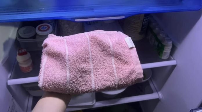 Put a towel in the refrigerator: Amazing uses that everyone needs