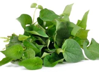 The Ultimate Skin-Boosting Recipe: Combine 2 Familiar Garden Leaves