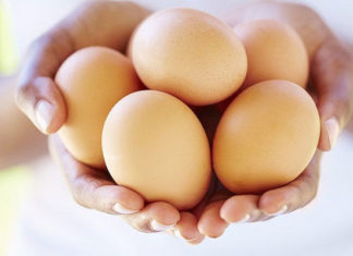 How to choose the freshest eggs of all?