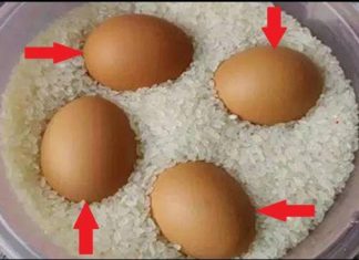 Daughter-in-law puts eggs in rice box, calls mother-in-law to see a strange thing happening a month later