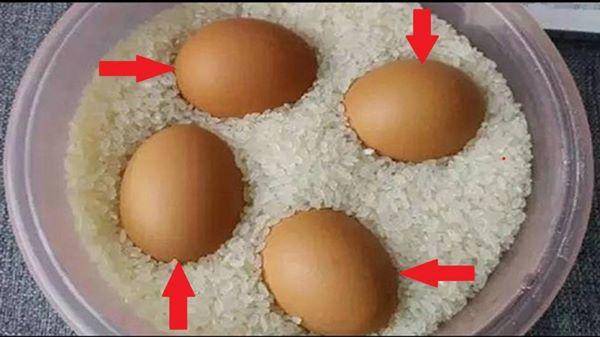 Daughter-in-law puts eggs in rice box, calls mother-in-law to see a strange thing happening a month later