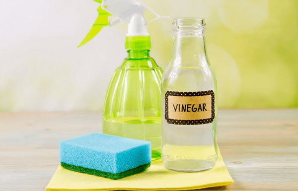 Using Vinegar to Remove These Things