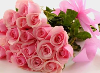 10 Flower Suggestions to Celebrate Vietnam Teacher’s Day 20/11