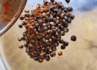 Delicious Recipes with Clams: Easy and Tasty Home Cooked Dishes