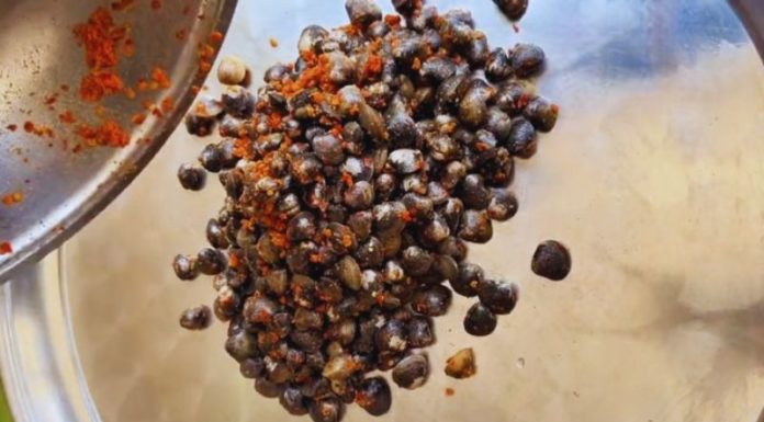 Delicious Recipes with Clams: Easy and Tasty Home Cooked Dishes