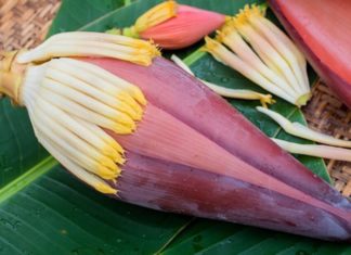 The Most Underrated Part of a Banana: No longer just pig food, now cooked in a way that everyone loves