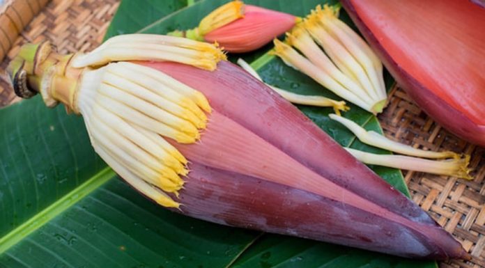 The Most Underrated Part of a Banana: No longer just pig food, now cooked in a way that everyone loves