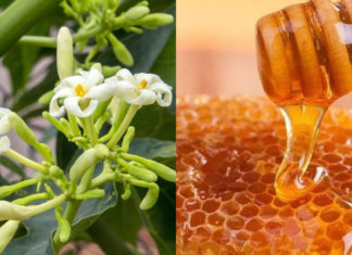 The Incredible Benefits of Soaking Papaya Flowers in Honey Daily