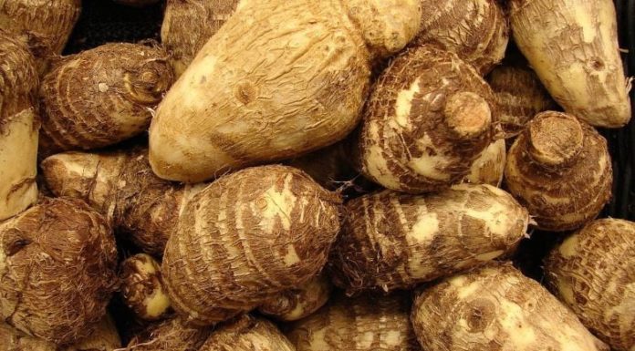 Healthy and Delicious Protein-Packed Stewed Duck Brain and Bone Soup