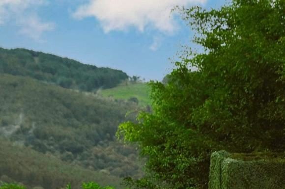 Showbiz News 10/11: Kim Ly and Ha Ho have wedding photoshoot, Sam confirms pregnancy through IVF.