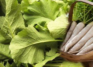 Eating Half a Pound of Vegetables Is Better Than 10 Ginseng Roots: Unknown to Many, It Is Thrown Away