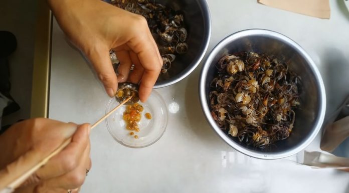 Why Do Sellers of Crab Often Add Salt When Grinding Crab: Important Point for Sisters to Note to Prevent Loss